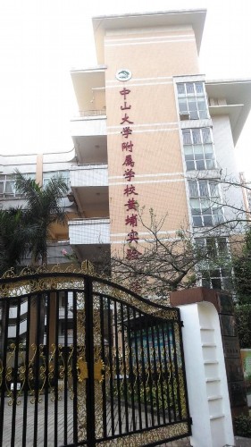 男童因不愿午休 被老师捆绑罚跪袜子塞嘴巴_中
