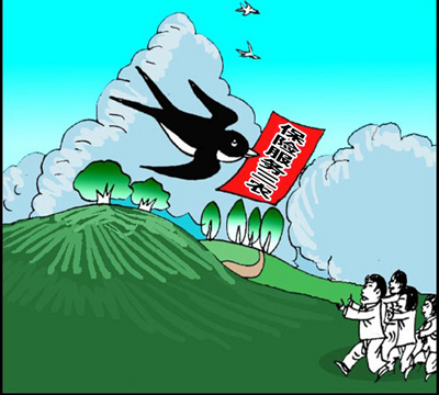 张家口农信社试水保险信贷 探索信贷支农新路