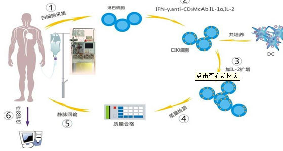 中晚期肿瘤治疗 要从提高免疫入手