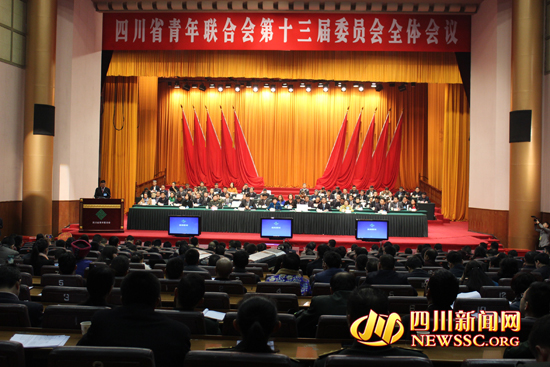 共青团四川省委副书记张荣当选四川省青联主席