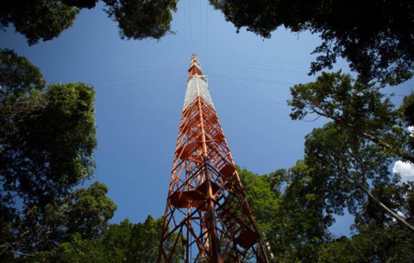 亚马逊雨林气象观测塔即将建成 高过埃菲尔铁