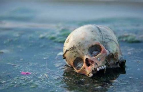 印度恒河浮尸:100多具尸体高度腐烂遭动物分食