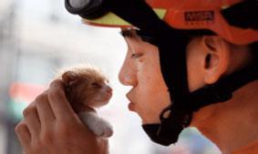 如何看待消防员驱车救猫?