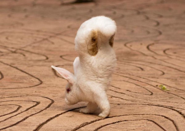 不毛什么什么的成语_成语故事图片(2)