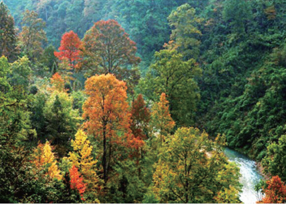 贵州省石阡县佛顶山申请晋升国家级自然保护区
