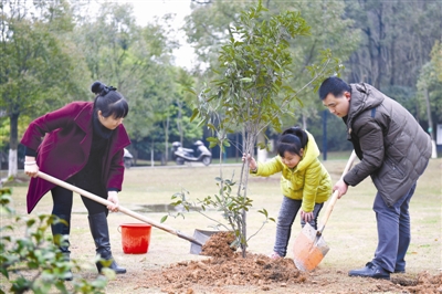 共植亲情树