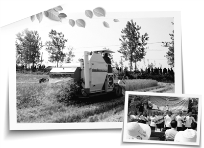 湖北省立法全面禁止露天焚烧秸秆