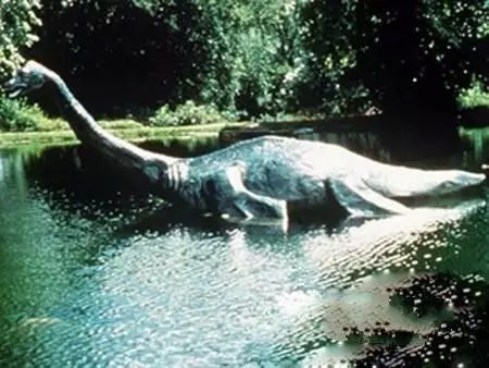 据目击者描述,这只怪兽体型巨大,和着名的尼斯湖水怪一样长着长长的蛇