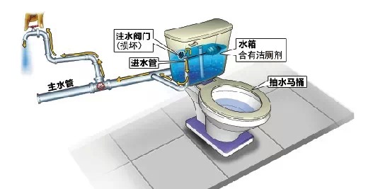 紧急提醒:请不要往马桶放蓝色洁厕块,因为它会