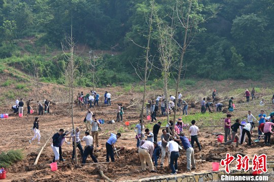 湖北宜昌300余劳模义务植树呼吁善待自然