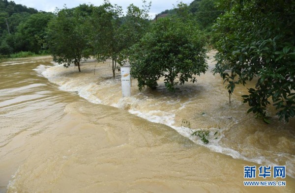 广西发布洪水蓝色预警 部分河流将出现超警戒