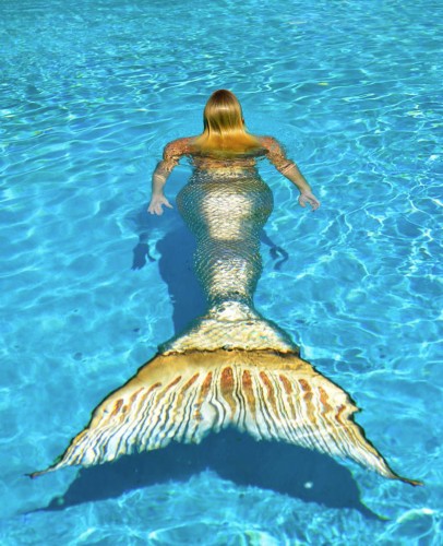 职业"美人鱼"水下展妩媚身姿 鱼尾重54斤