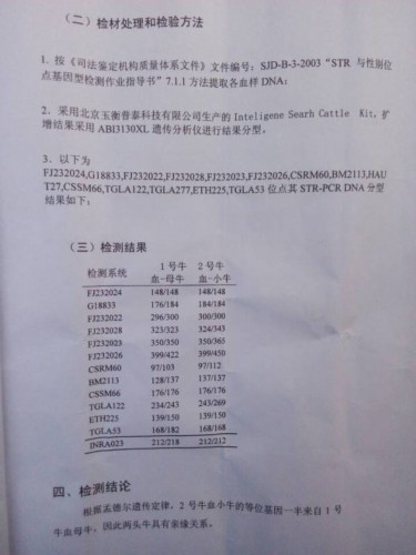 7906959121440356264.jpg