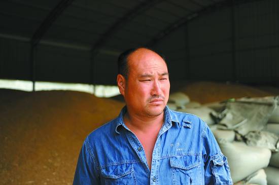 河南省汝南县板店乡仲庄村粮食经纪人李开华在成堆的粮食旁满脸齿容
