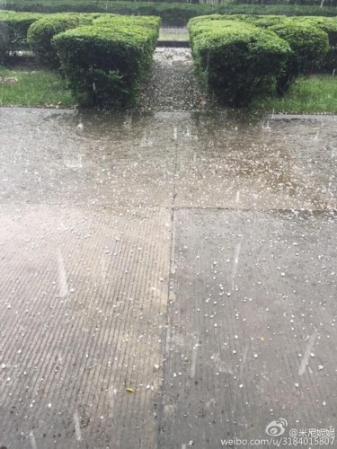 四川发雷电黄色预警 多地降冰雹个头大如鹌鹑蛋(图)