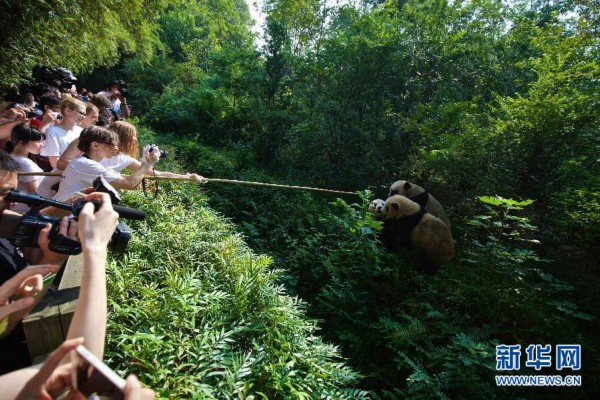 欧洲熊猫粉丝四川探亲之旅自驾团抵达成都