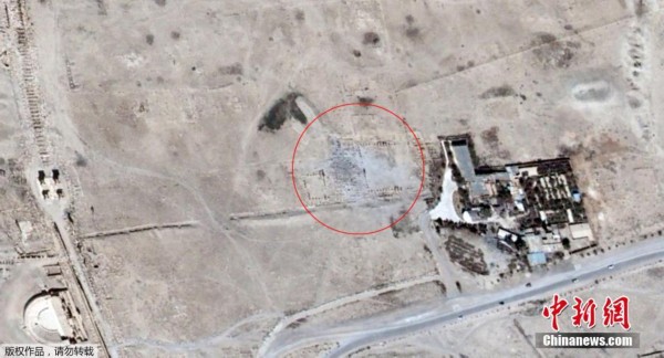 IS炸毁的叙利亚古神庙从卫星地图上消失(组图