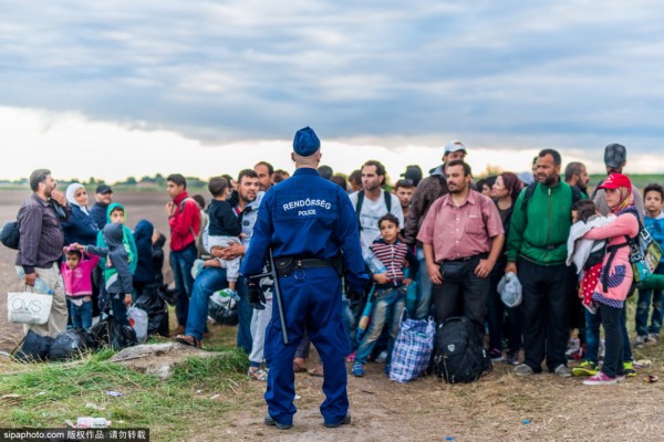 塞尔维亚与匈牙利边界难民影像(组图)