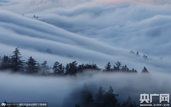 美国摄影师拍摄云雾缭绕山林美似仙境