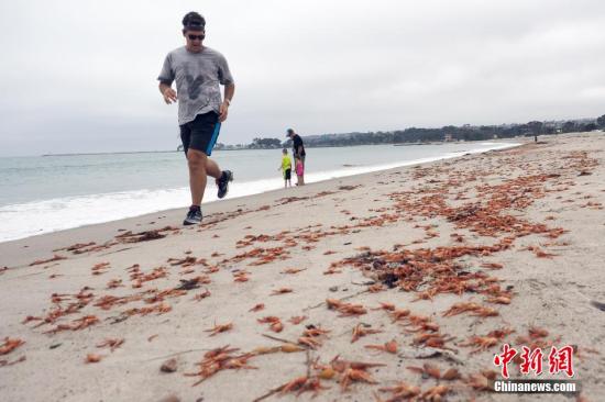 新厄尔尼诺现象正形成 今后两年地球气温或创