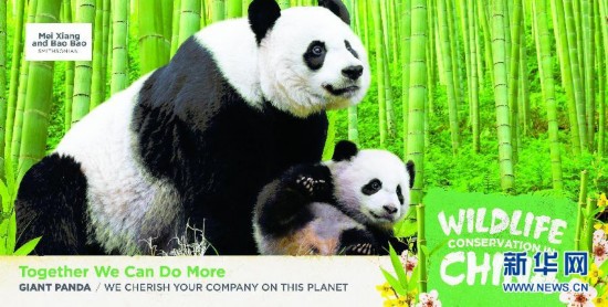 中国驻美国使馆发布中国自行车发展和野生动物