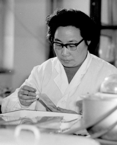 20世纪80年代初,屠呦呦在进行科研工作.