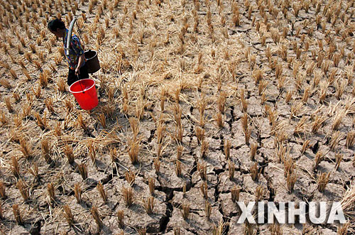 暴雨大旱高温灾害频发今年天气怎么了组图