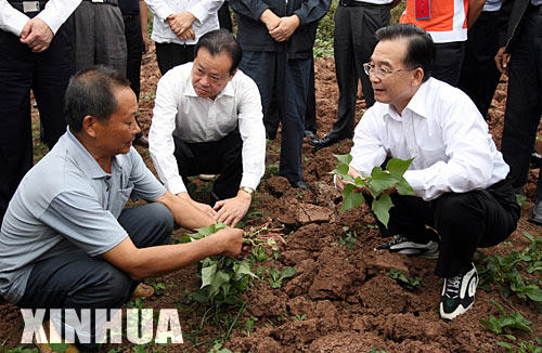 总理温家宝和国务院有关部门负责同志来到四川南充,遂宁,重庆潼南