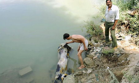 伊拉克人在河中发现一具死尸。