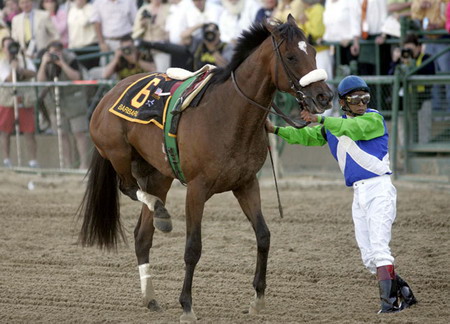 2006年5月20日，美國巴爾的摩。在Pimlico賽馬場舉行的第131屆普瑞克尼斯賽馬會上，職業賽馬師埃德加-普拉多在他的賽馬——肯塔基賽馬會冠軍Barbaro腿部受傷後試圖使他安靜下來