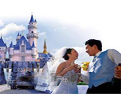 迪士尼童话婚礼
