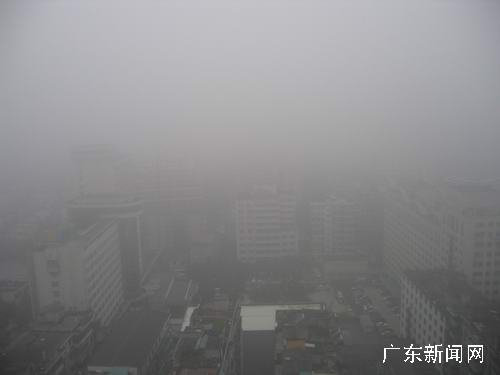 广州罕见大雾 最低能见度200米[组图](4)