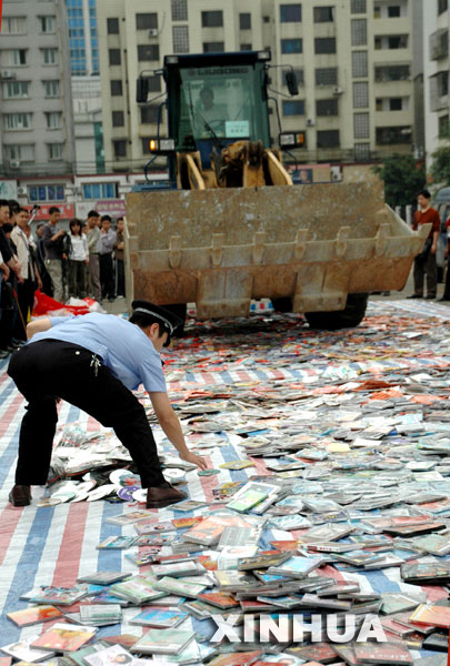 各地集中销毁一批盗版非法出版物[组图](4)