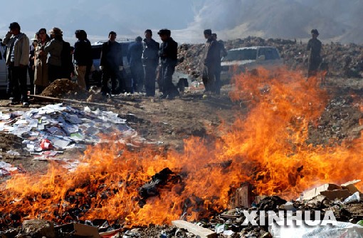 各地集中销毁一批盗版非法出版物[组图](6)