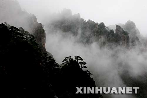 6月13日，安徽黄山风景区的奇松怪石在烟雨云雾笼罩下秀丽壮观，俨然是一幅水墨画。 新华社发(潘成 摄) 