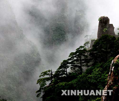 6月13日，安徽黄山风景区的奇松怪石在烟雨云雾笼罩下秀丽壮观，俨然是一幅水墨画。 新华社发(潘成 摄) 