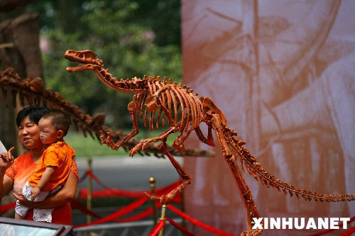 7月3日,经过复原的白垩纪恐龙骨架模型栾川盗龙在郑州展出