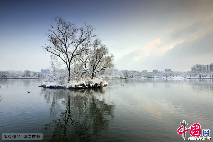 2013年春分，淩晨的一場大雪，讓北京銀裝素裹。清晨的龍潭湖公園，更是景色怡人，一片夢幻景像。中國網圖片庫 林勁松攝