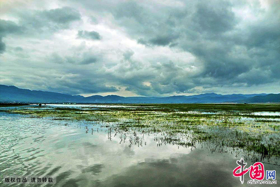 云南丽江，高原湿地自然保护区拉市海风光。中国网图片库 肖远泮/摄