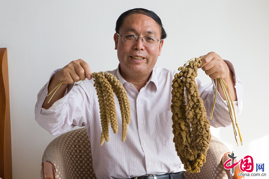 趙志海代表向記者展示“張雜谷”以及用穀子加工的黃酒産品。 中國網記者 董寧攝影