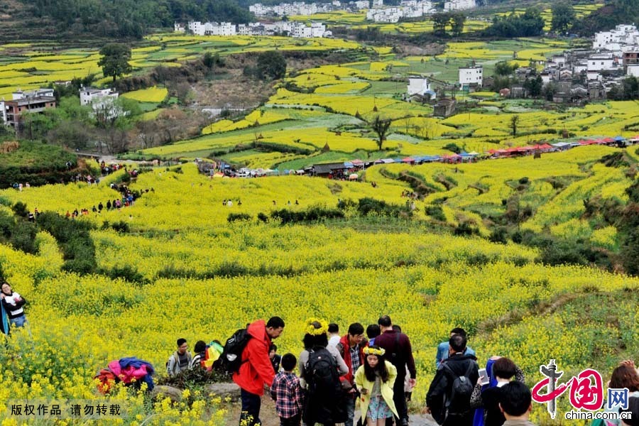 3月21日，游客在江西省婺源县江岭万亩油菜花海里观花赏景。