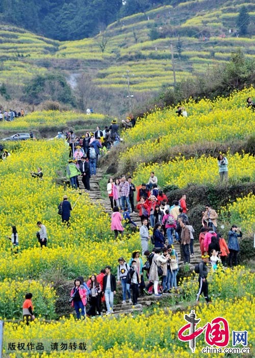 3月21日，游客在江西省婺源县江岭万亩油菜花海里观花赏景。
