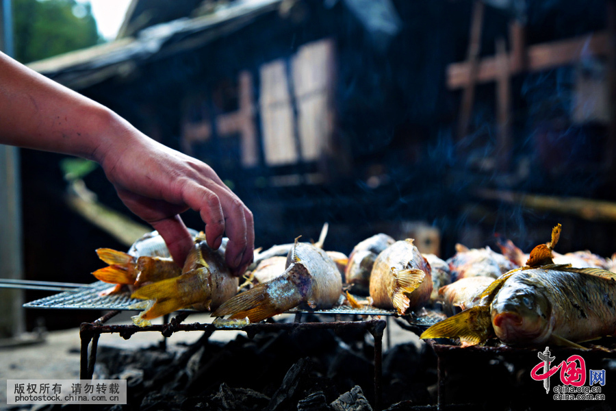 苗族侗族乡亲们将在自家稻田里捉到的自养的肥美鲤鱼，除去苦胆，用文火慢慢将鱼烤熟。中国网图片库 张晖摄