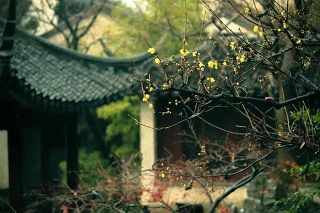 借香入境 中国古典园林中的香景