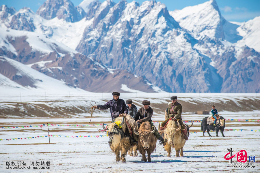    牦牛叼羊是全国唯一一项由塔吉克族开展的民间体育项目，已于2010年被列为新疆维吾尔自治区非物质文化遗产扩展项目。中国网图片库 祁军 摄