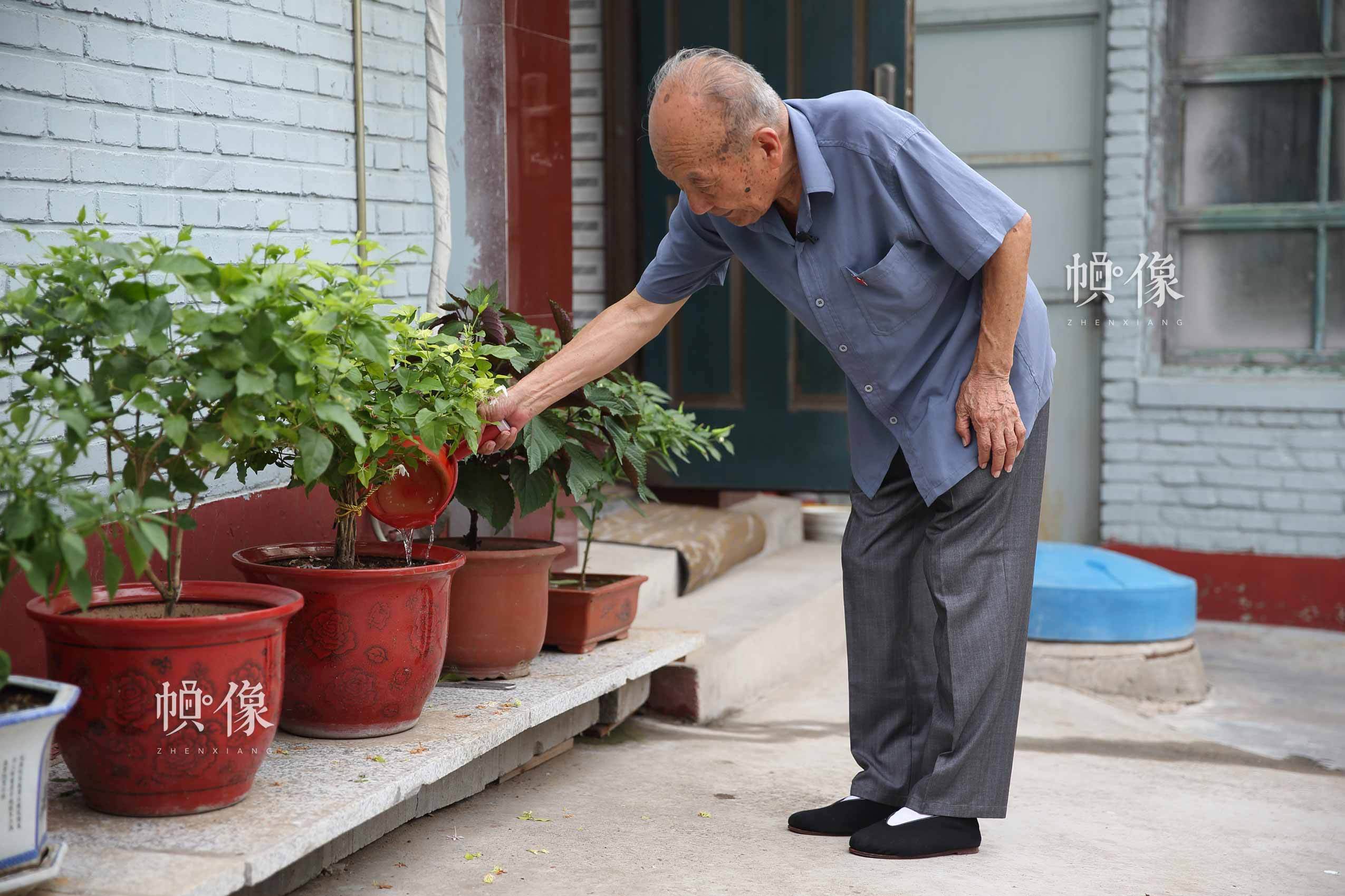 在房子外边，郑福来种了些花，养了些菜。“每天拾掇拾掇我的菜园子，然后去桥上蹓跶，给游客们讲故事。”中国网记者 陈维松 摄 