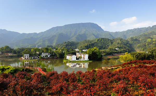 贵州赤水：“全域旅游·全景赤水”  实现了旅游业飞速发展