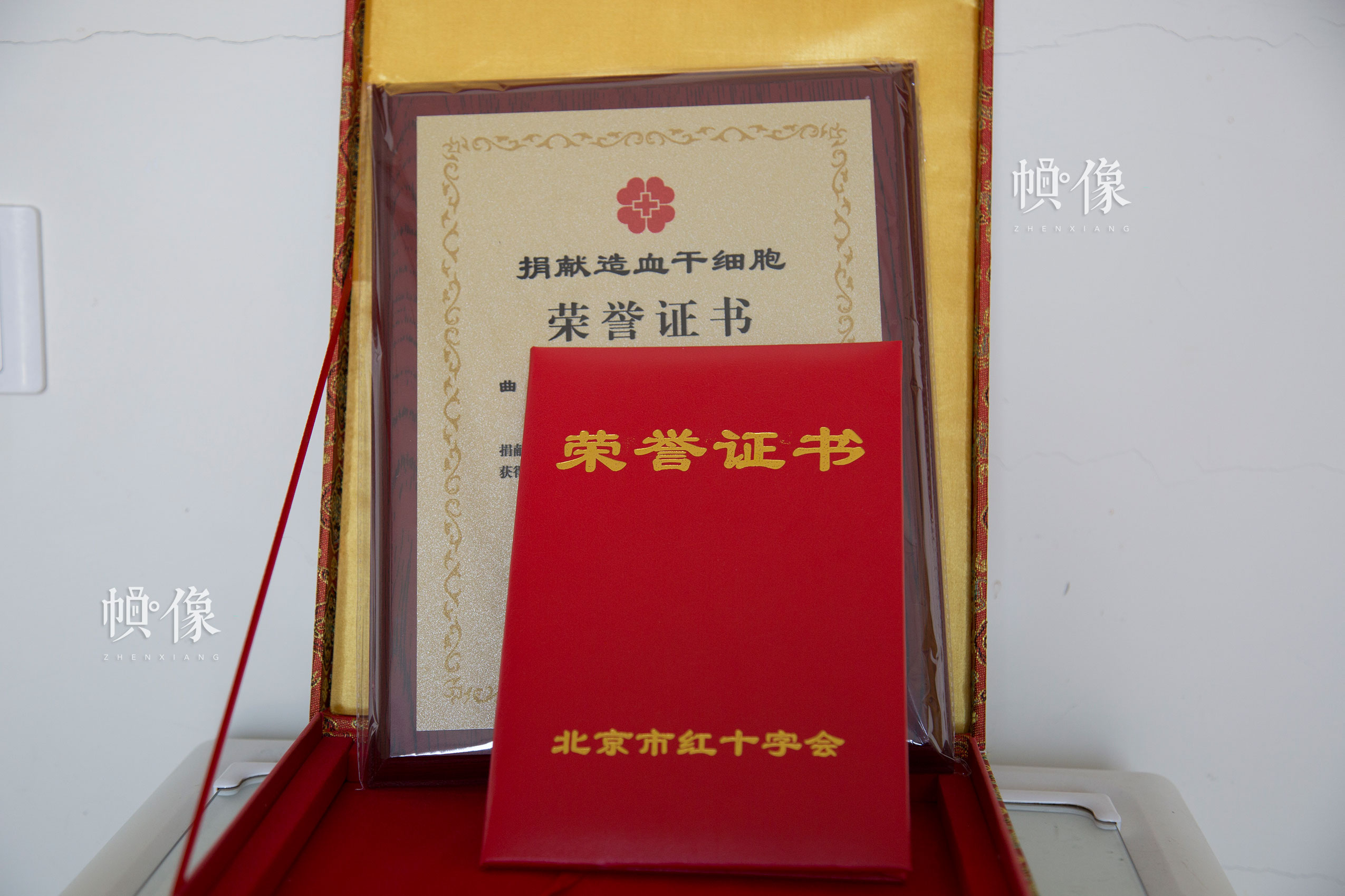 2017年8月30日，北京海军总医院，配型成功的曲女士进行造血干细胞捐献，这是北京市红十字会颁发的荣誉证书。中国网记者 赵超 摄