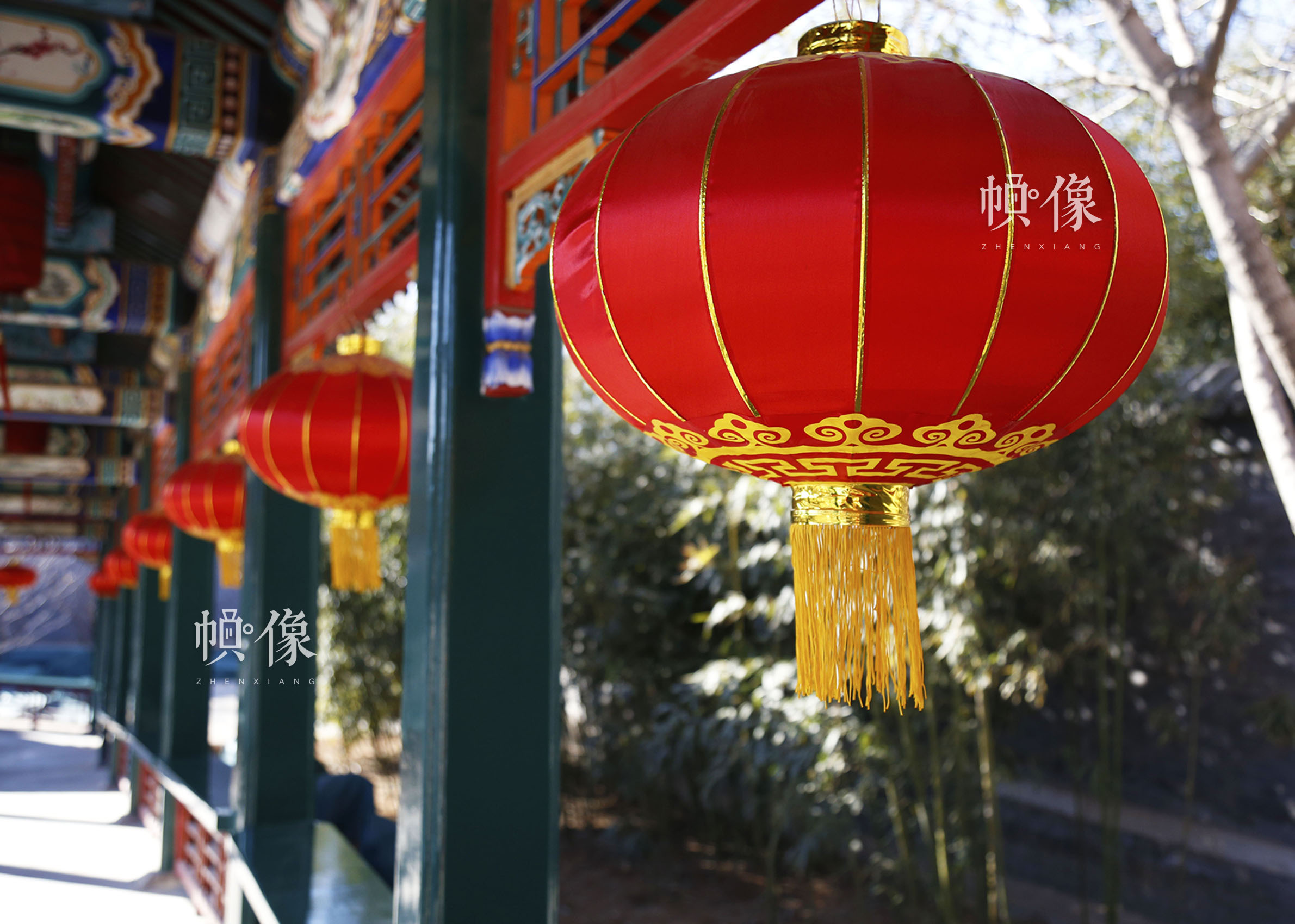春节将至，北京市昌平区非遗传承人产业基地，姚雨林的剪纸工作室的小院挂起了红灯笼。中国网实习记者 张钰 摄