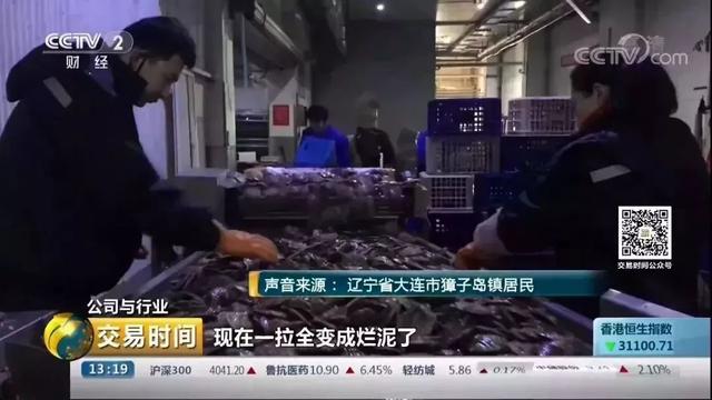 央视财经记者深入獐子岛，发现此事必有蹊跷！